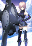 Shielder Stage 2 in Fate/Grand Order, illustrated by Takashi Takeuchi.