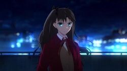 Fate Stay Night Type Moon Wiki Fandom