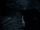 Archer fights and blinds True Assassin.gif