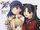 Fate/stay night Premium FanBook