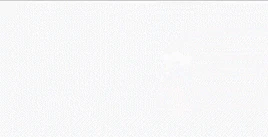 World Face Domination FGO