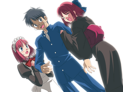 Hisui Type Moon Wiki Fandom Hisui Type Moon Wiki Fandom