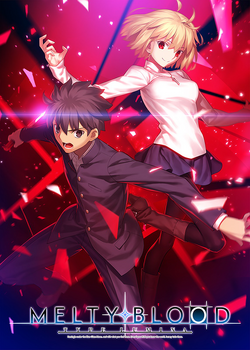 Amazon.com: MELTY BLOOD: TYPE LUMINA - Switch : Everything Else