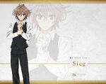 A-1 PicturesWP Wallpaper Illustration of Sieg in Fate/Apocrypha, illustrated by Yū‏‎kei Yamada.