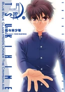 Tsukihime Manga Volume 9.jpg (105 KB) Volume 9 Cover