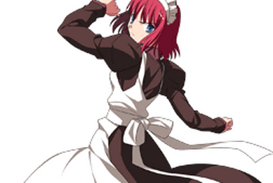 【初回限定版】type-moon mertyblood Amazon.co.jp: 【初回限定版】MELTY BLOOD: TYPE LUMINA MELTY