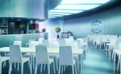 Chaldea Security Organization Type Moon Wiki Fandom ), also called the chaldea security organization (人理保障機関カルデア, hito ri hosho kikan karudea. chaldea security organization type