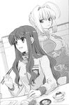 Hakuno and Saber in Sevens Feel novel from Fate/Extra Visual Fanbook