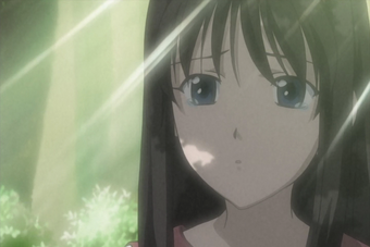 Akiha Tohno Type Moon Wiki Fandom Akiha's essence shining through every strand. akiha tohno type moon wiki fandom