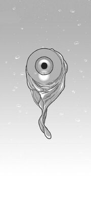 Mystic Eyeball