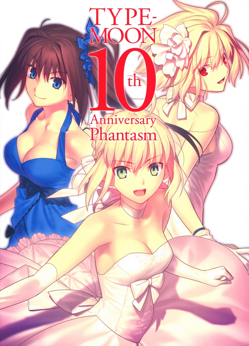 TYPE-MOON Fes. 10周年 特大タペストリー - キャラクターグッズ