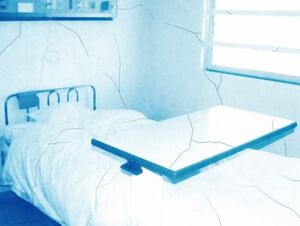 Hospitalines