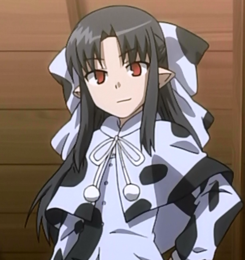 List Of Minor Characters Type Moon Wiki Fandom