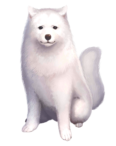 Cavall II | TYPE-MOON Wiki | Fandom