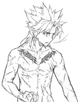 Amakusa Shirou Tokisada Ruler Type Moon Wiki Fandom Personazh anime, mangi i ranobe. amakusa shirou tokisada ruler type