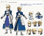 Lerche's character sheet of Saber in Carnival Phantasm.