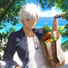 Emiya Archer Type Moon Wiki Fandom All the other shirou got their powers from emiya in the first place and even though kaleid shirou has infinite mana his base stats are 2 times lower due to the contamination. emiya archer type moon wiki fandom