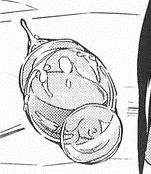 Trong Fate/strange Fake.