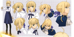 The wiki says that there are 33 Saberfaces. : r/Saber