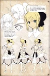 Character sheet of Saber Lily in Fate/complete material IV, illustrated by Takashi Takeuchi.