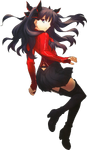 Rin Tohsaka (Fate/Extra) | TYPE-MOON Wiki | Fandom