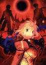 Четвёртый том Fate/Zero