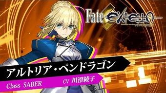 タイプムーン スリーブ fate fgo 月姫 extra extella fate-extra-record-2025-