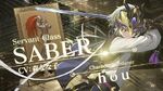 Fate Grand Order 4週連続･全8種クラス別TV-CM 第1弾 セイバー編