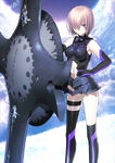 Shielder Stage 1 in Fate/Grand Order, illustrated by Takashi Takeuchi.