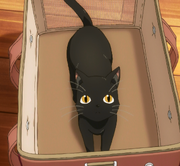 KnKcat.png