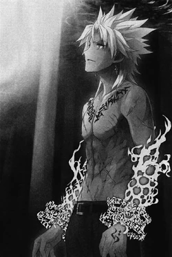 Amakusa Shirou Tokisada | TYPE-MOON Wiki | Fandom