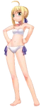 Saber swimsuit costume in Fate/tiger colosseum Upper, illustrated by Yukio Hirai.