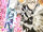 Fate/Grand Order THE MOVIE - Divine Realm of the Round Table: Camelot - Paladin; Agateram