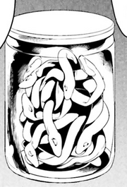 Smallhydra.png