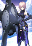 Shielder Stage 3 in Fate/Grand Order, illustrated by Takashi Takeuchi.