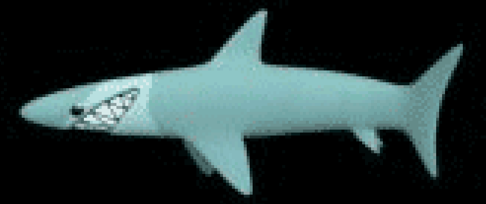 Typer Shark! – Wikipédia, a enciclopédia livre