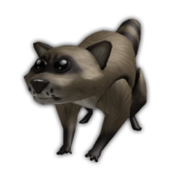 Raccoon | Typical Games Wiki | Fandom