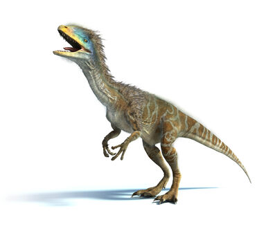 Guanlong