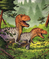 Daspletosaurus pair