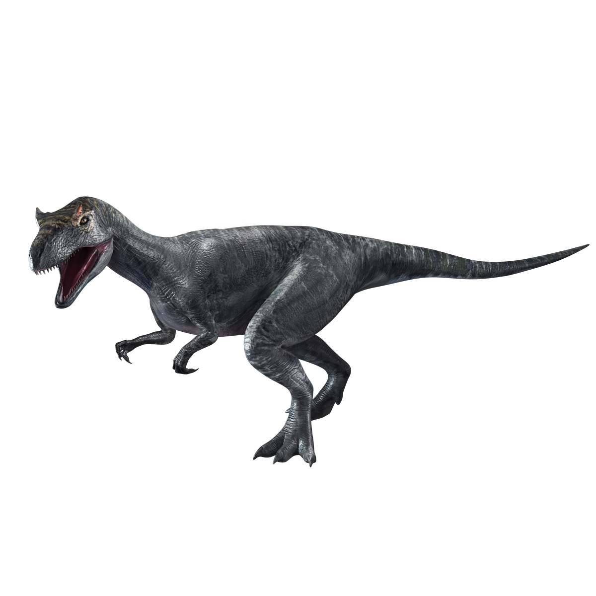 Tyrannosaurus rex VS Allosaurus | T. Rex Wiki | Fandom