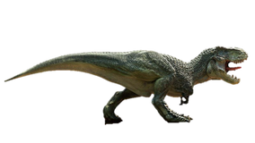 その他 T-Rex V1s JURASSIC WORLD Super Colossal Tyrannosaurus Rex | Mattel