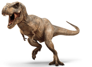 Tyrannosaurus-rex-info-graphic