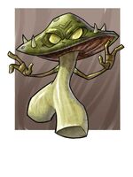 Fungus Groper