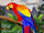 Parrot.png