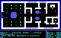 The White Dragon's Castle, Ultima I