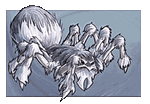 Frost Spider