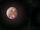 Moons.jpg