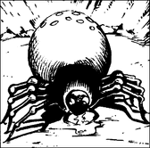 Giant Spider