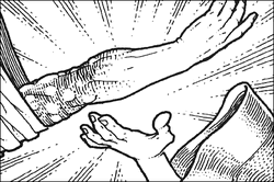 Alcort.gif