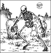 Skeleton